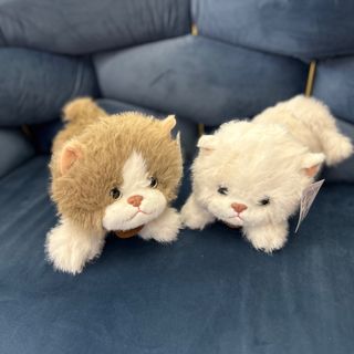 Котик Томі 22см