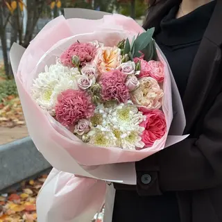 Ніжна Стефа