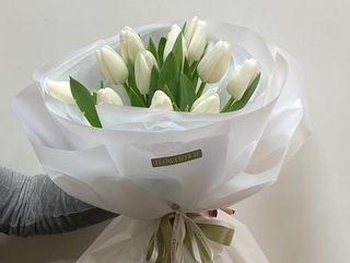 Білі тюльпани