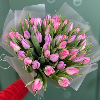 Букет тюльпанів №7 (45шт)