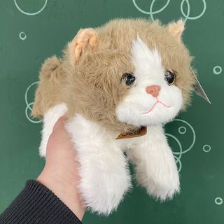 Котик “Томі” 1