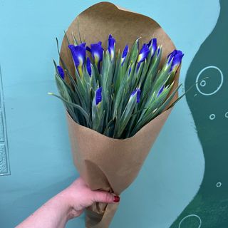 25 синіх ірисів
