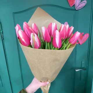 15 двох кольорових тюльпанів