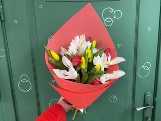 Мікс тюльпанів та ірисів. 15 шт