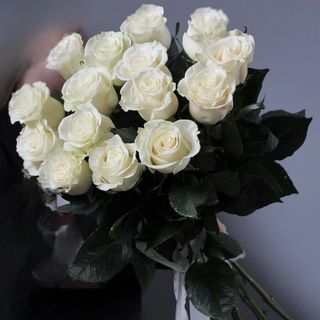 15 білих імпортних троянд