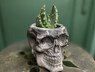 Кашпо череп