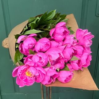 Букет піонів №22 (21шт)