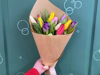 11 кольорових тюльпанів