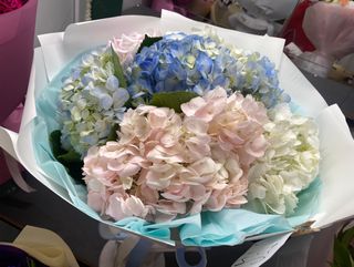 Букет 7 гортензій в пакуванні