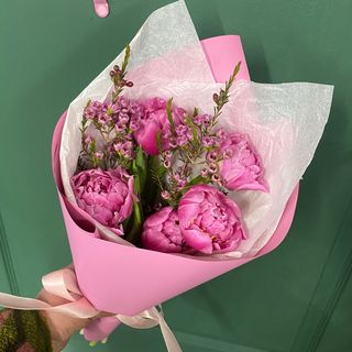 5 піоновидних тюльпанів з хамелаціумом