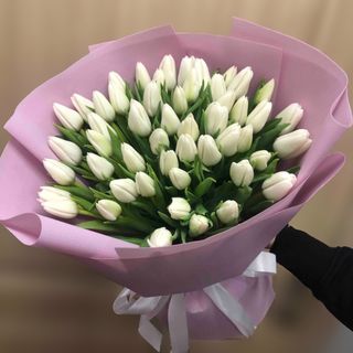 51 білий тюльпан.