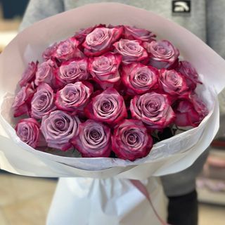 25 троянд Deep Purple
