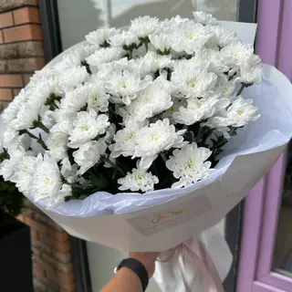 9 хризантем в пакуванні