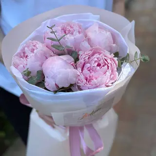 5 рожевих півоній