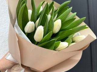 25 білих тюльпанів