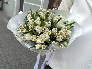 25 білих троянд з ромашкою