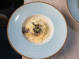 Паста сирна (280г)