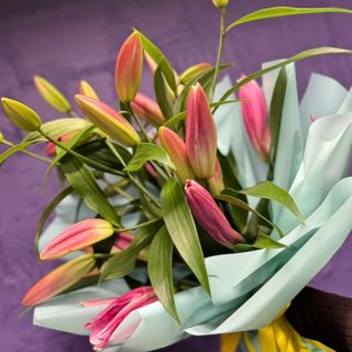 Букет SOLOIS з лілій 