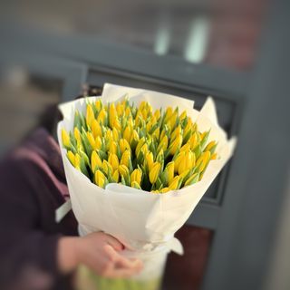 Букет зі 101-го голландського  жовтого тюльпану