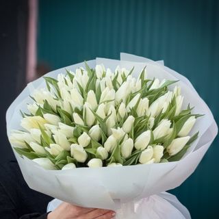 Букет зі 101-го білого голландського тюльпану