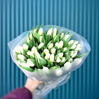 Букет з 51-го білого голландського тюльпану першого сорту