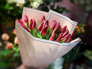 Букет з 25-ти червоних голландських тюльпанів