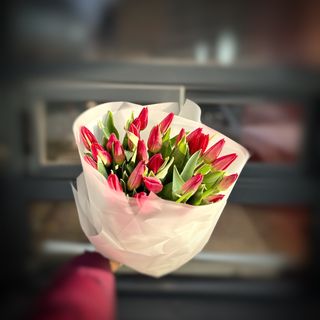 Букет з 25-ти червоних голландських тюльпанів першого сорту