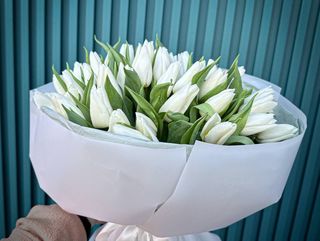 Букет з 51-го білого голландського тюльпану