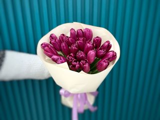 Букет з 25-ти фіолетових голландських тюльпанів