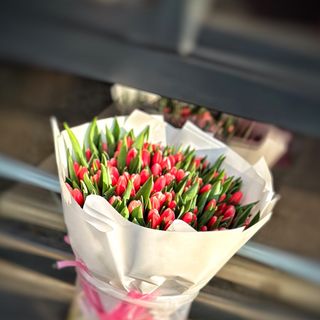 Букет зі 101-го червоного голландського тюльпану