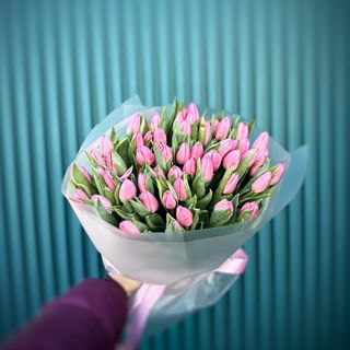 Букет з 51-го пурпурового голландського тюльпану перших сортів