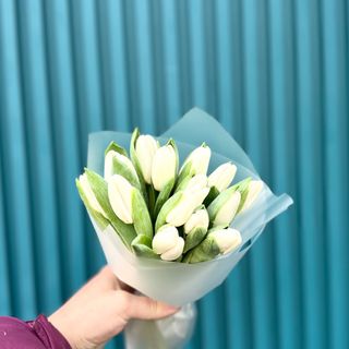 Букет з 15 білих голландських тюльпанів першого сорту