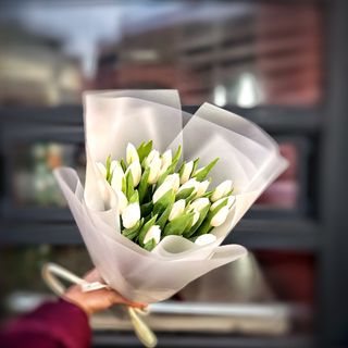 Букет з 25-ти білих голландських тюльпанів першого сорту