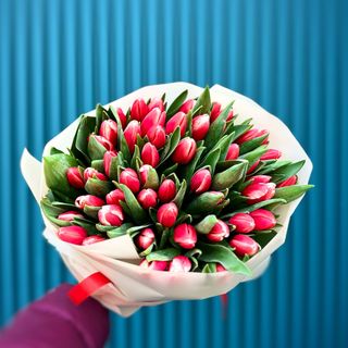 Букет з 51-го червоного голландського тюльпану першого сорту