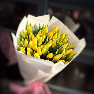 Букет з 51-го жовтого голландського тюльпану