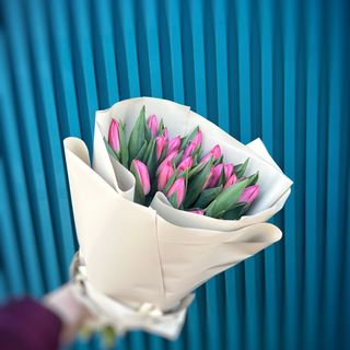 Букет з 25-ти пурпурових голландських тюльпанів першого сорту