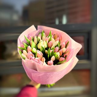 Букет з 51-го мікс голландського тюльпану