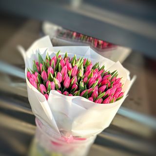 Букет зі 101-го пурпурового голландського тюльпану