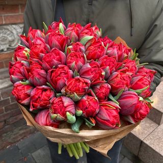 Піоновидний червоний тюльпан