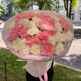 Букет з 31 Діантусів