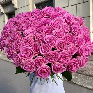 Троянда «Аква»