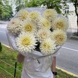 Букетик з жоржин «Вишуканість»