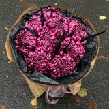 Букет «Бургунді»