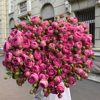 Троянда кущова півонієподібна «Місті Баблз»