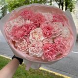 Букет з 17 діантусів «Рожева Мрія»