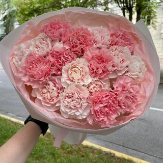 Букет з 17 діантусів «Рожева Мрія»