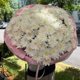 XXL букет з хризантем