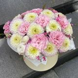 Композиція «Жоржини