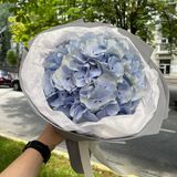 Букетик комплімент «Блакитна гортензія»