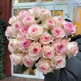 Еквадорська троянда «Мандала»